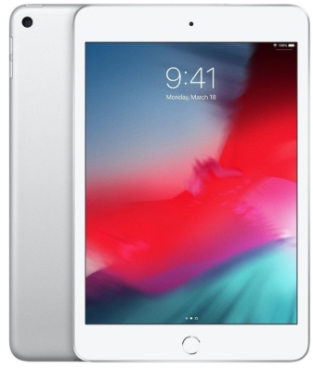 iPad mini (5. Generation)